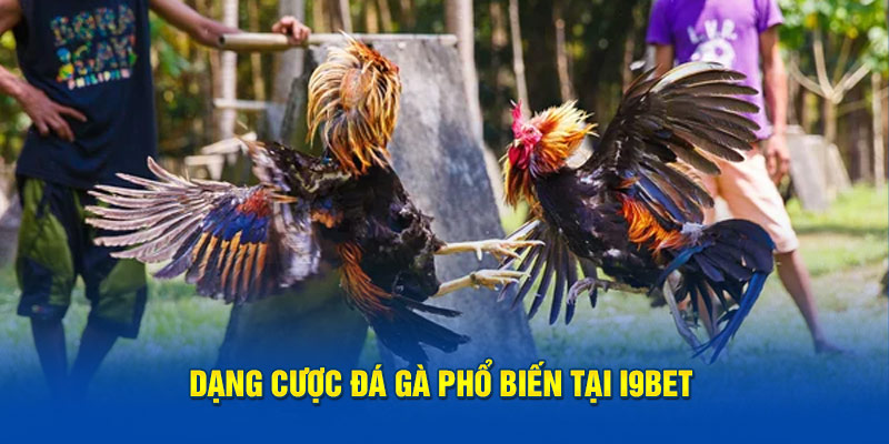 Các hình thức cược đá gà i9Bet