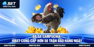 Đá Gà Campuchia – i9Bet Cung Cấp Hơn 50 Trận Đấu Hàng Ngày