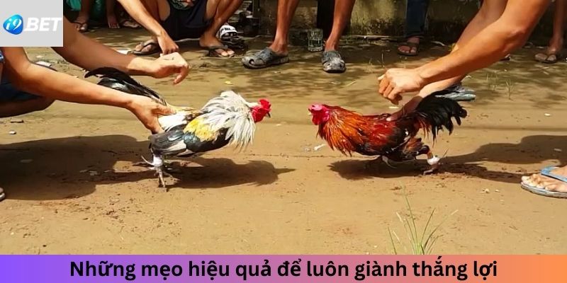 Những mẹo hiệu quả để luôn giành thắng lợi