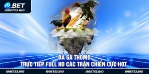 Đá Gà Thomo - Trực Tiếp Full HD Các Trận Chiến Cực Hot 