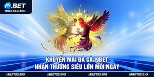 Khuyến Mãi Đá Gà i9Bet - Nhận Thưởng Siêu Lớn Mỗi Ngày