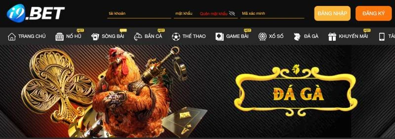 i9bet – Nơi cá cược đá gà hợp pháp, an toàn và uy tín i9bet – Nơi cá cược đá gà hợp pháp, an toàn và uy tín